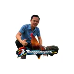 traigaduyenti1's avatar