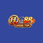 hq88top's avatar