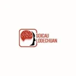 soicaulodechuannet's avatar