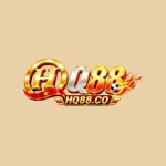 hq88co's avatar