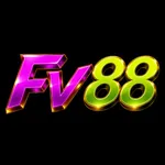 fv88orgim's avatar