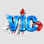 vicclubhunet's avatar