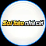 trmeritkingcasino's avatar