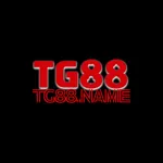 tg88name's avatar
