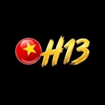 h13solutions's avatar