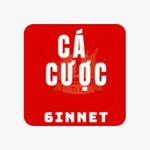 trangcacuocbongda6innet's avatar