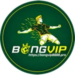 bongvip8888's avatar