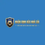 nhandinhkeonhacaitvsk's avatar