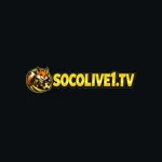 Socolive1tv's avatar