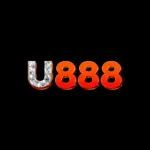 U888vninet's avatar