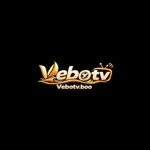 vebotvboo's avatar