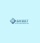 shbet800com2's avatar