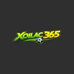 xoilactvvin's avatar