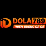 dola789vin's avatar