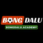bongdaluacademy1's avatar