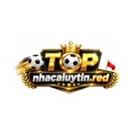 nhacaiuytinred's avatar