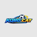 kqbdcat's avatar