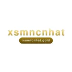 xsmncnhatgold's avatar