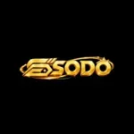79sodonhacai's avatar