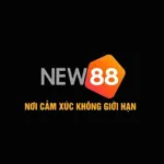 new88okcom's avatar