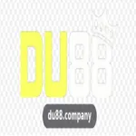 du88company's avatar