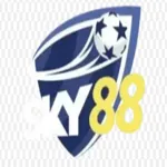 sky88xinnet's avatar