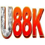 u88kcocom's avatar