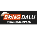 bongdaluviio's avatar