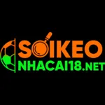 soikeonhacai18net1's avatar