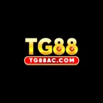 tg88accom's avatar