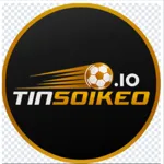 tinsoikeoio's avatar