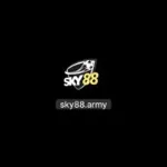 Sky88army's avatar