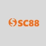sc8818com1's avatar