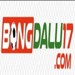 bongdalu17com's avatar