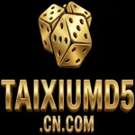 taixiumd5cncomvn's avatar