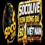 socolive2cam1's avatar