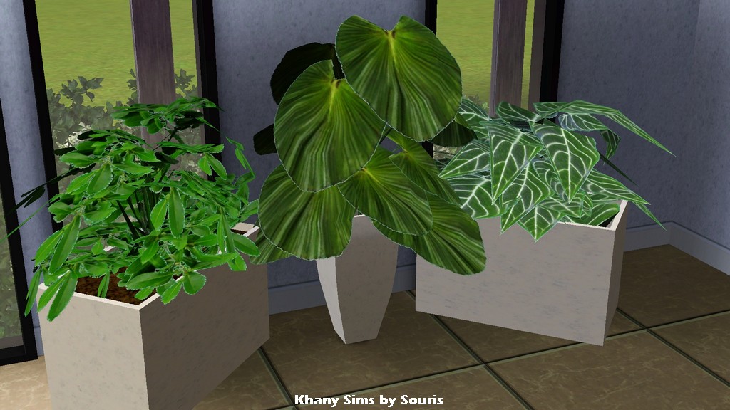 souris_3-plantes-pot.zip
