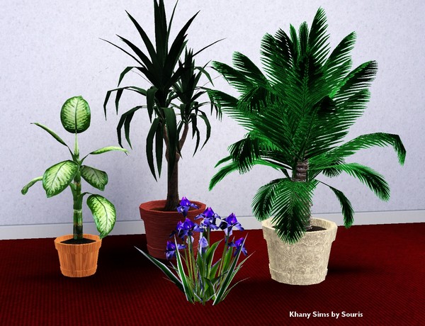 souris_4plantes.zip