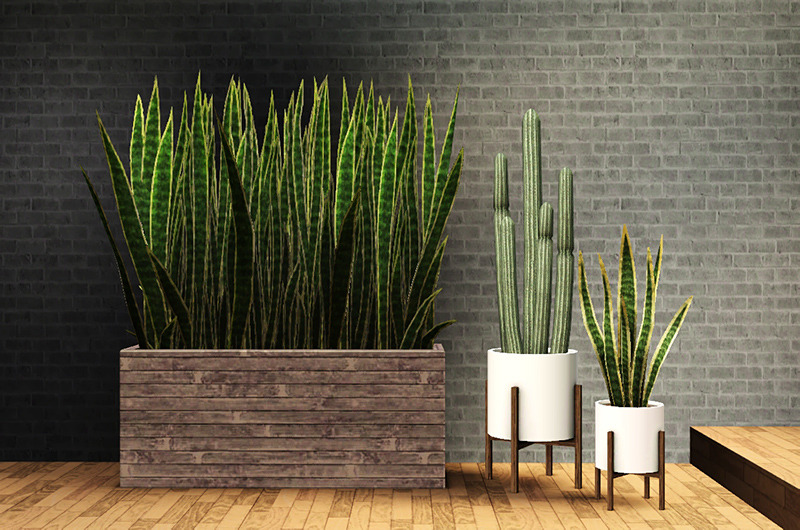 gelina_Deco_Plants_CactusAndSnakePlants.zip