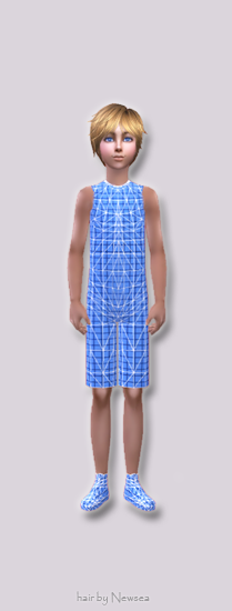 lilisims_CM_mesh_03_template.rar