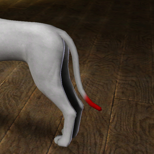 ChinaRose_TailTip01.package
