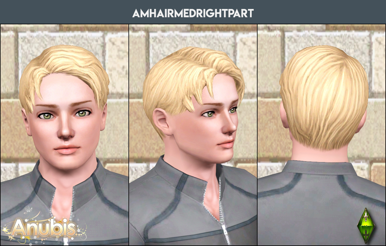 anubis360_TSM_amHairMedRightPart_TAEM.zip