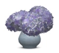 pocci_HydrangeaVase.zip