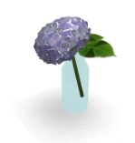 pocci_HydrangeaGlass.zip