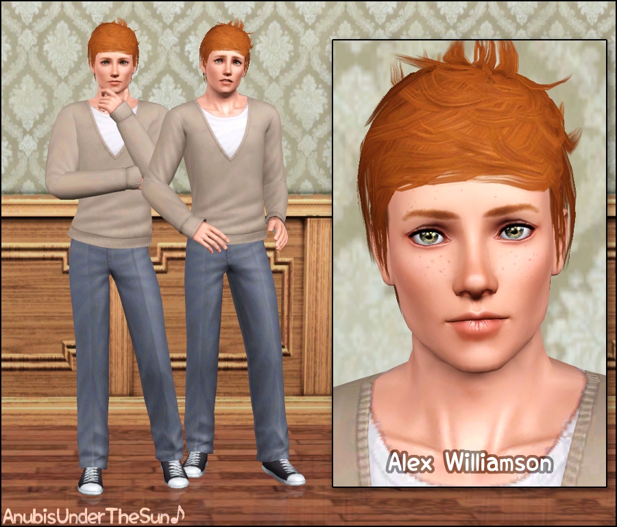 anubis360_Sim_AlexWilliamson.zip