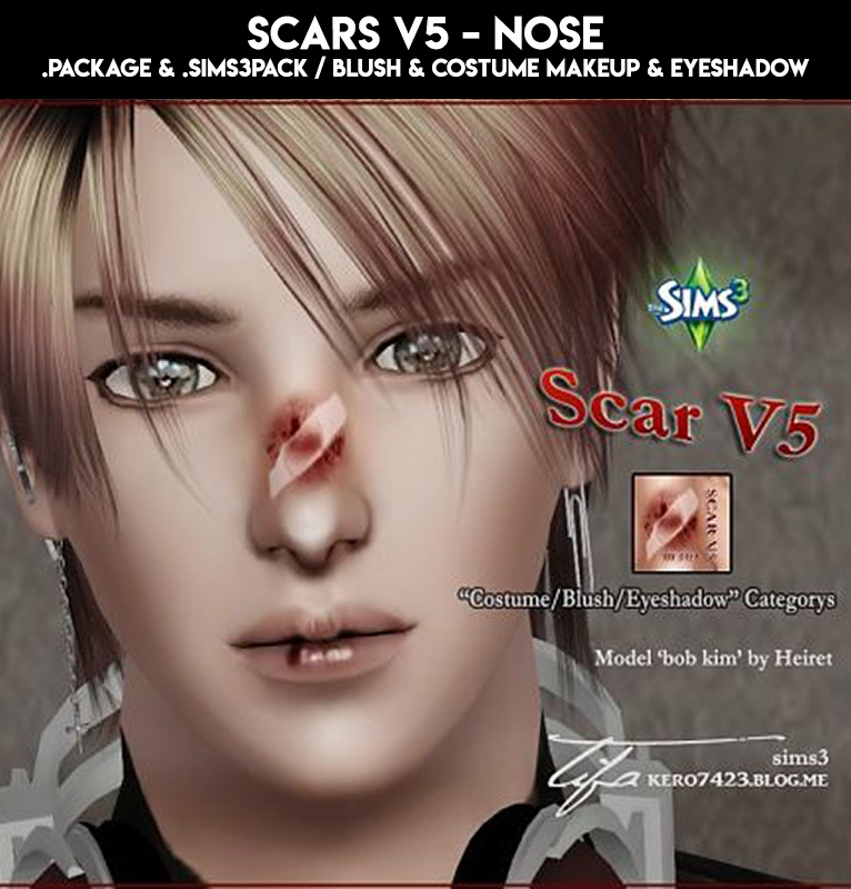 Tifa_ScarsV5_Blush_Costume_Eyeshadow.zip