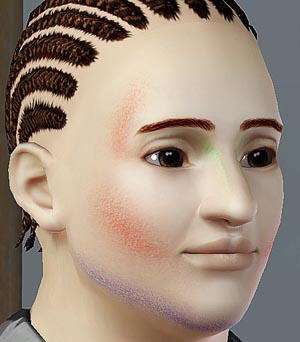 mochi029-make-hisha01.zip