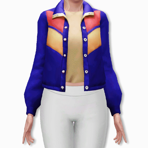 ninaaposts_Alexaarr_VintageJacket_TAEF.zip