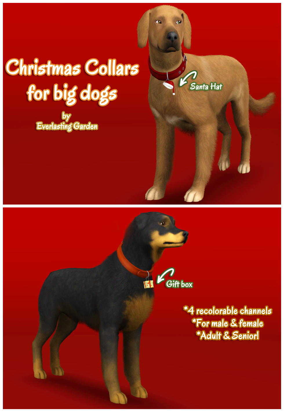 Everlasting-Garden_BigDogCollars.zip