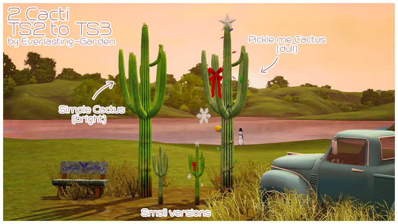 Everlasting-Garden_2to3_Cacti.zip